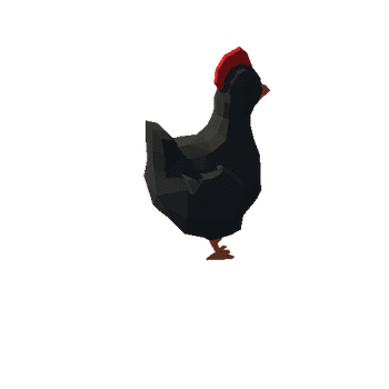 Chicken (1)